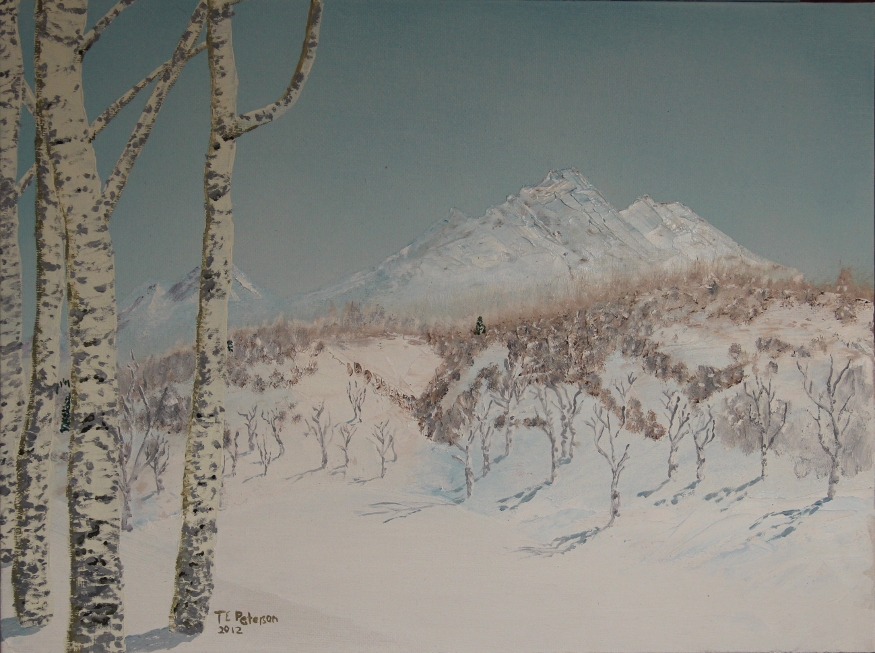 Aspen Winter