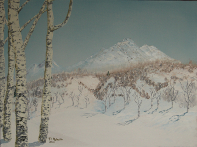Aspen Winter