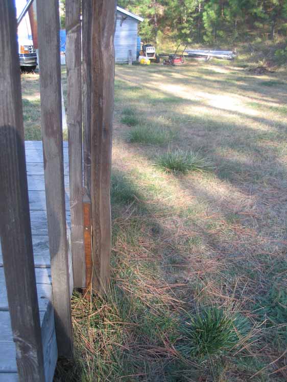 The post holding the clothesline. 