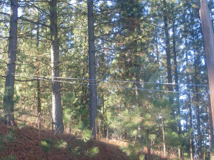The Clothesline