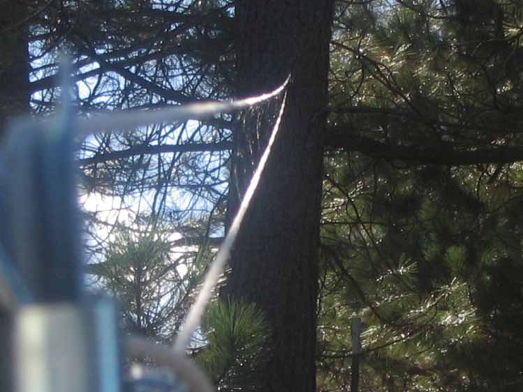 looking up the clothesline