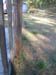 The post holding the clothesline