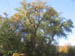 f-Oct-070046