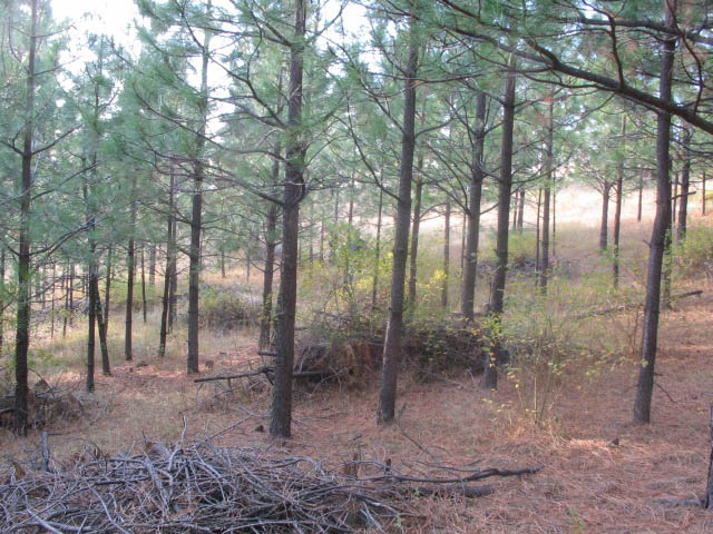 f-GH-Oct-070013