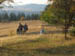 f-GH-Oct-070023