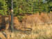 f-GH-Oct-070029