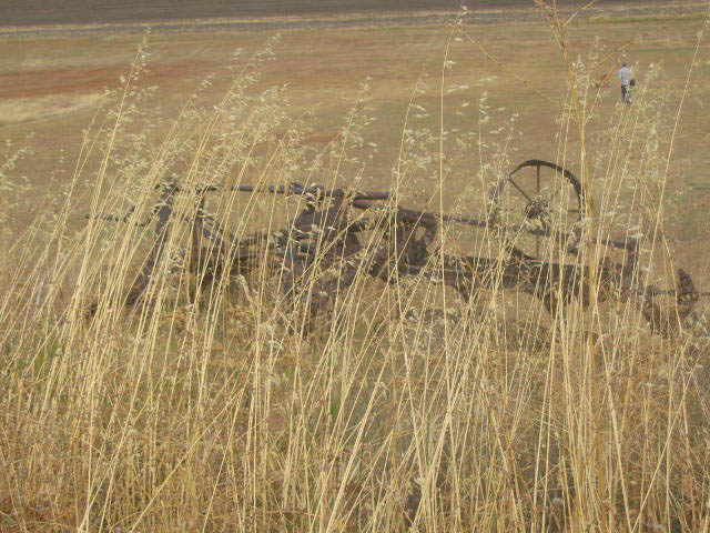 friz0015