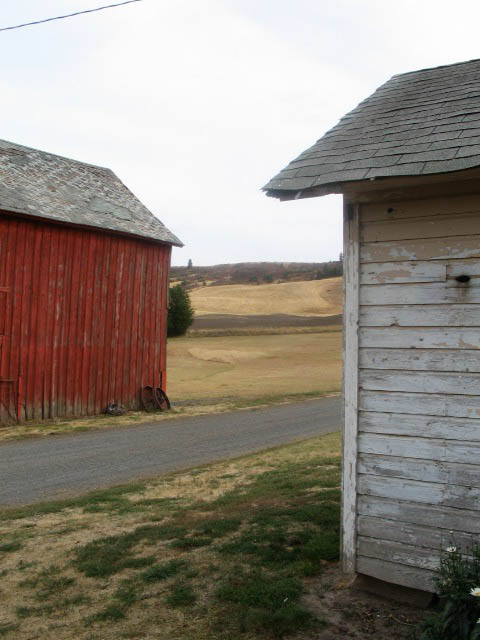 friz0022